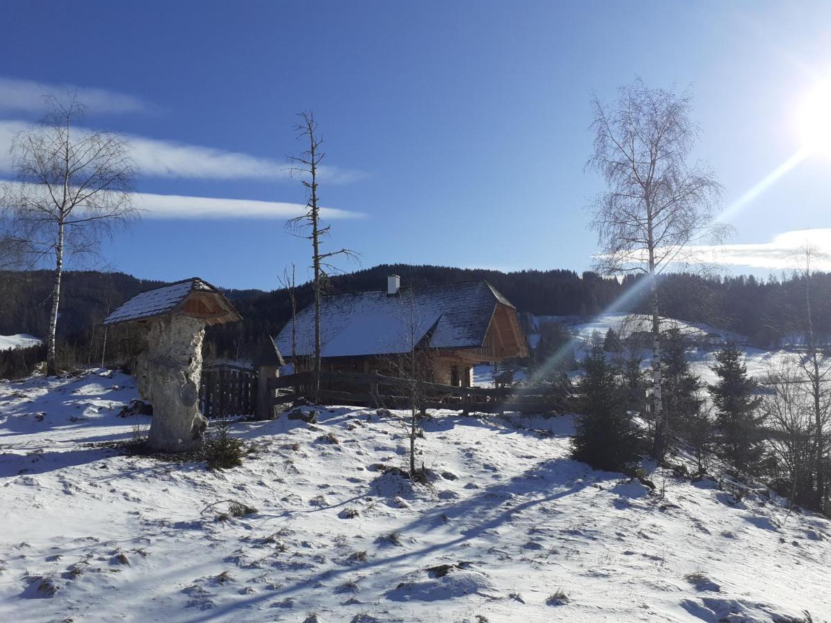 Pichelhuette Βίλα Murau Εξωτερικό φωτογραφία