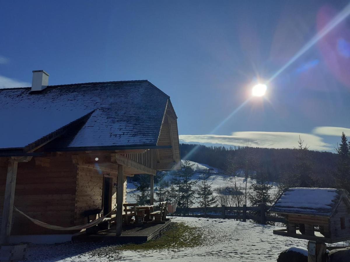 Pichelhuette Βίλα Murau Εξωτερικό φωτογραφία