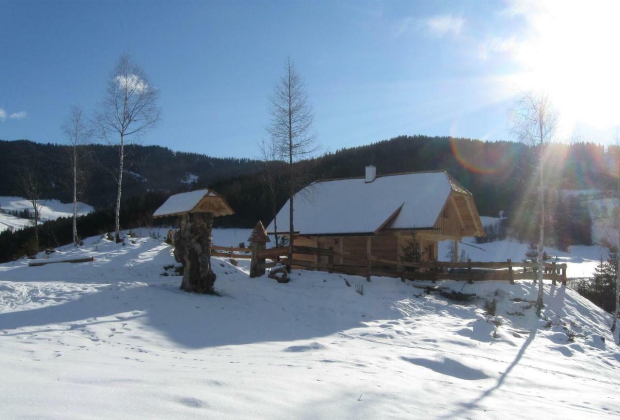 Pichelhuette Βίλα Murau Εξωτερικό φωτογραφία